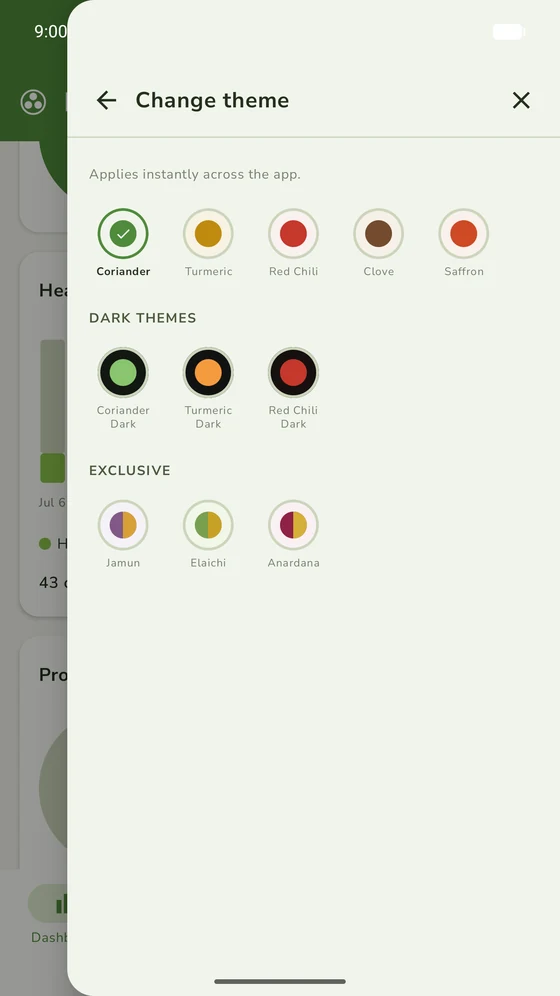 The theme picker, offering light, dark and exclusive spice themes